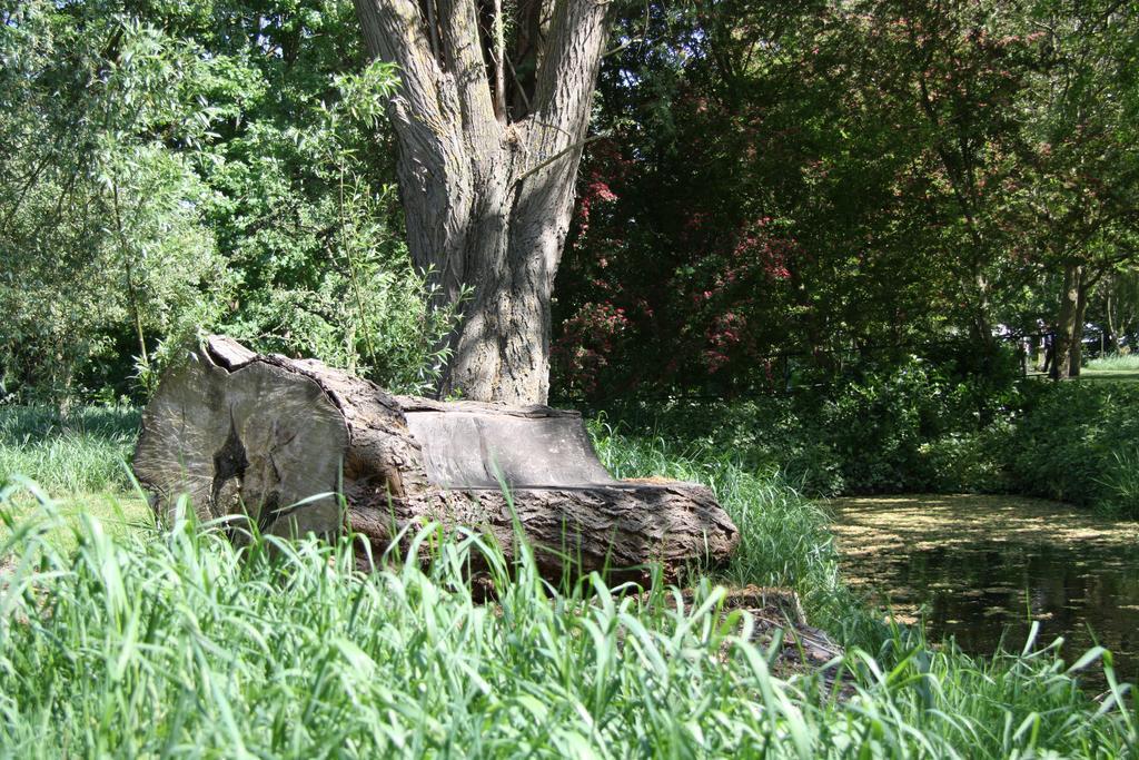 'T Koetshuys Villa Heenvliet Esterno foto